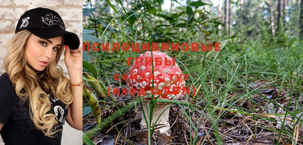 мескалин Осинники