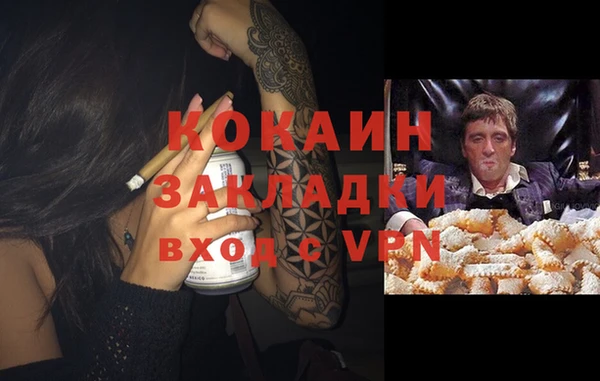 2c-b Богородицк