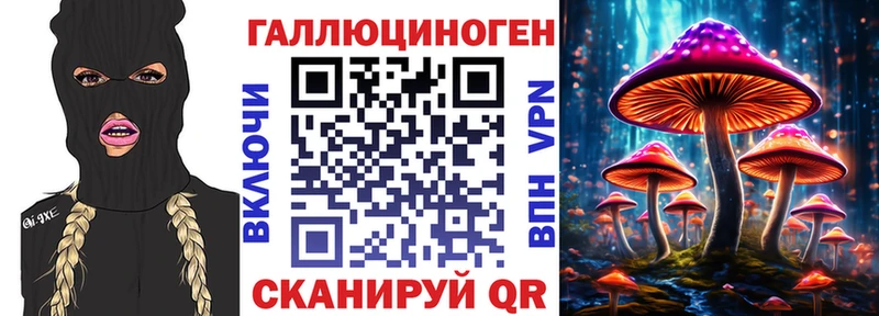 Псилоцибиновые грибы Cubensis  Верещагино 