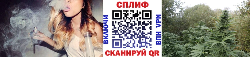 Канабис план Верещагино